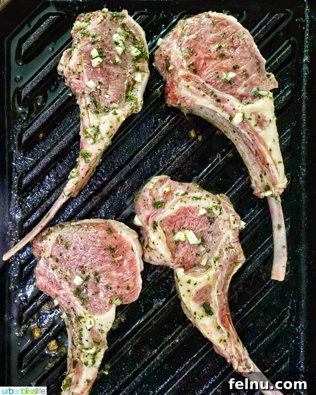 Aegean Lamb Chops 7 Lamb chops searing on a hot grill pan.
