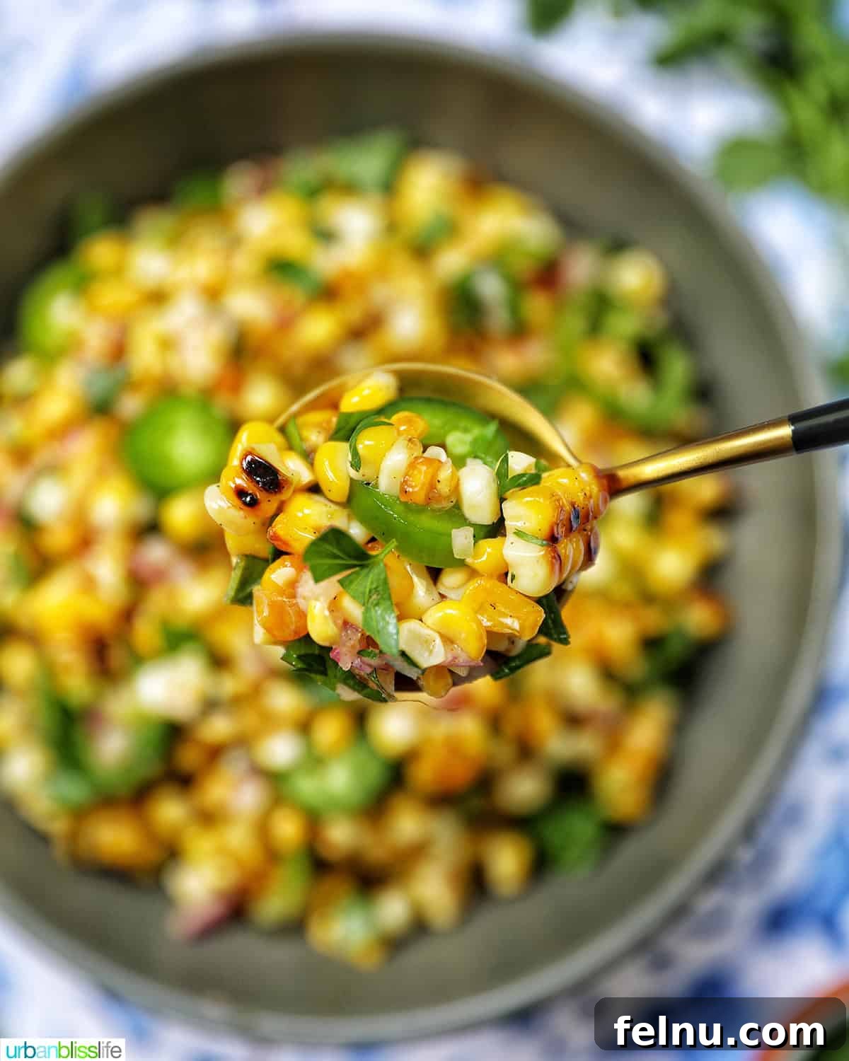 Fire-Kissed Corn Salad 13 A spoonful of vibrant charred corn salad being lifted from a bowl, ready to be enjoyed.