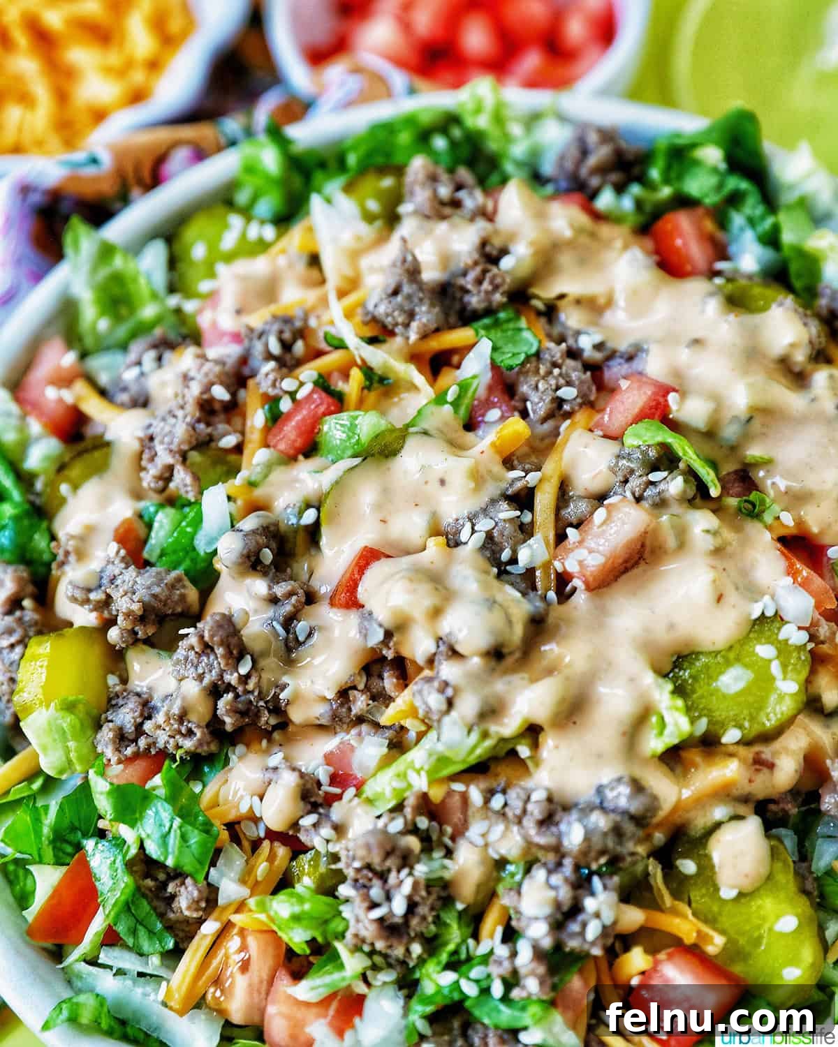 Big Mac Burger Bowl 2 Big Mac Salad in a large bowl, garnished with sesame seeds and dressing drizzled over, with burger sauce on the side.