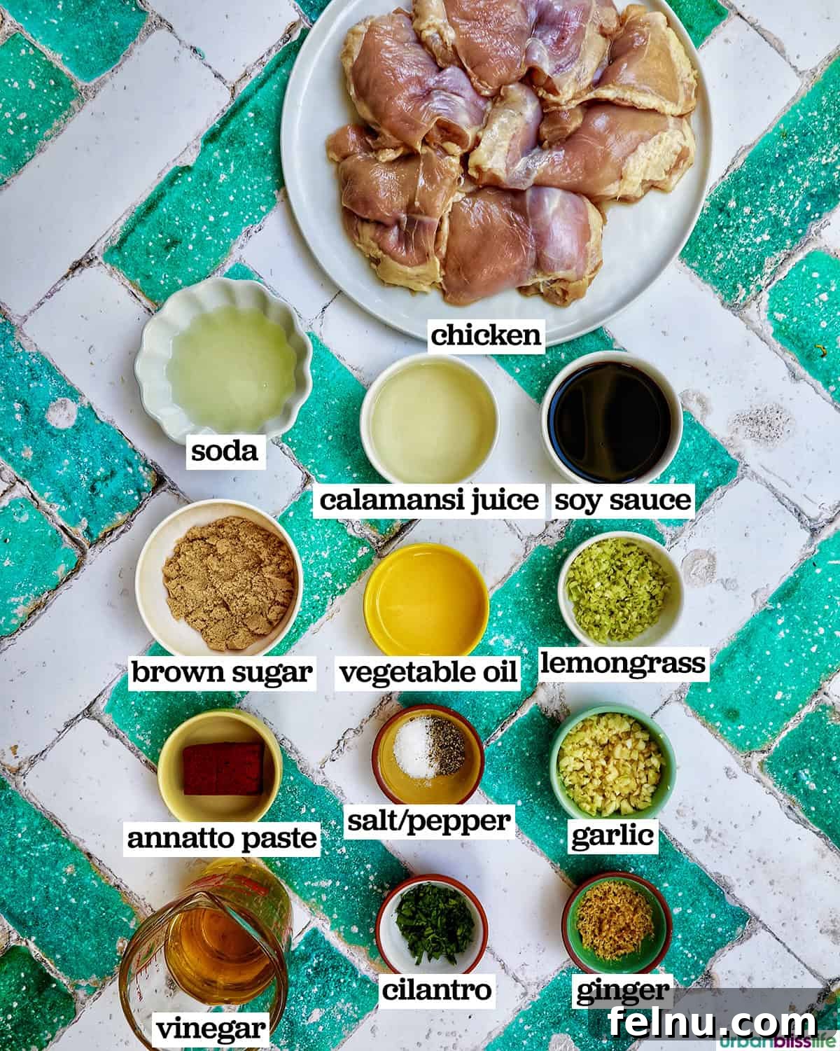 Chicken Inasal 5 Ingredients for making chicken inasal.