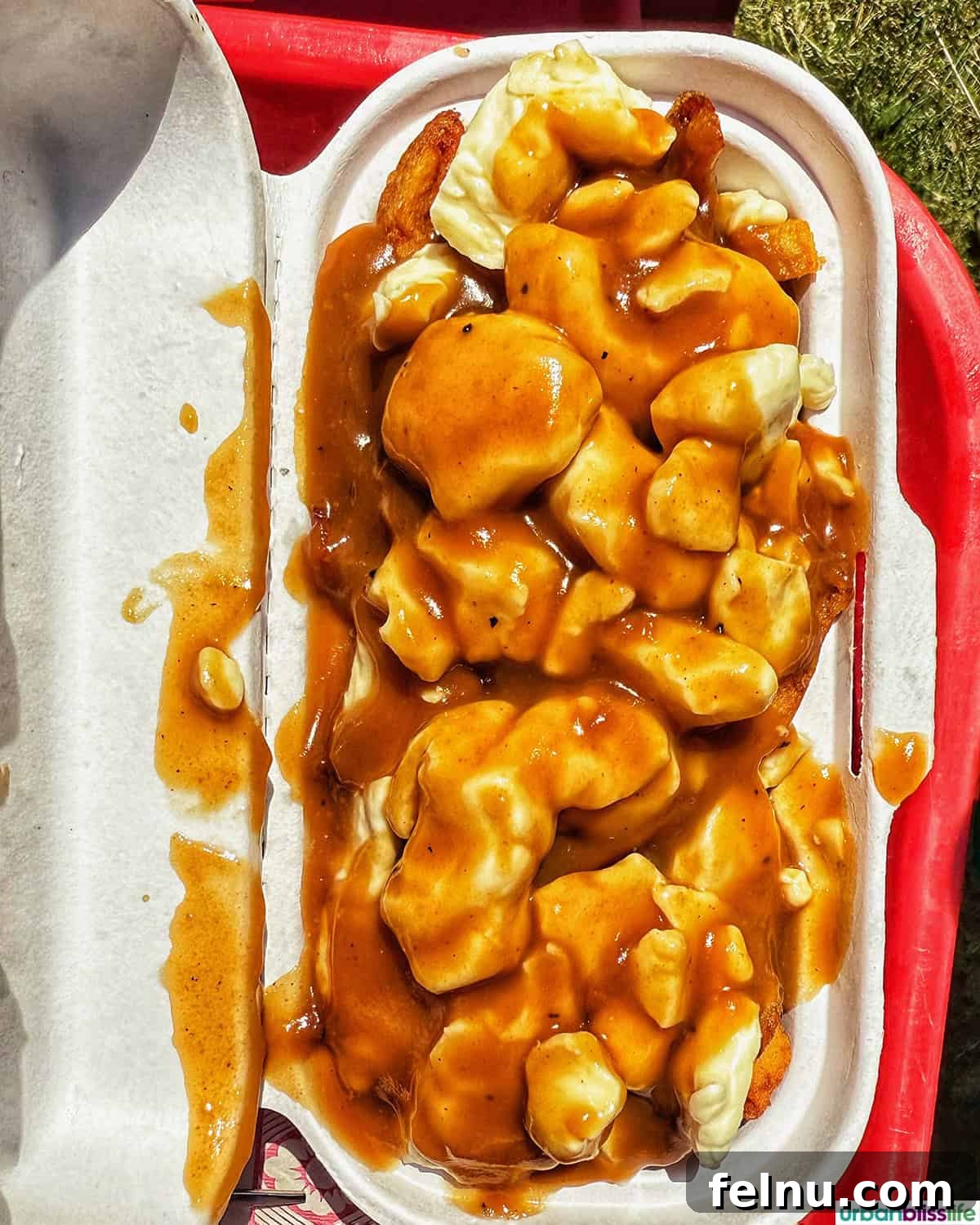 A Taste of Quebec: Culinary Hotspots in the City 11 A generous portion of poutine at Chez Mag in Quebec, showcasing the perfect balance of fries, cheese curds, and gravy.