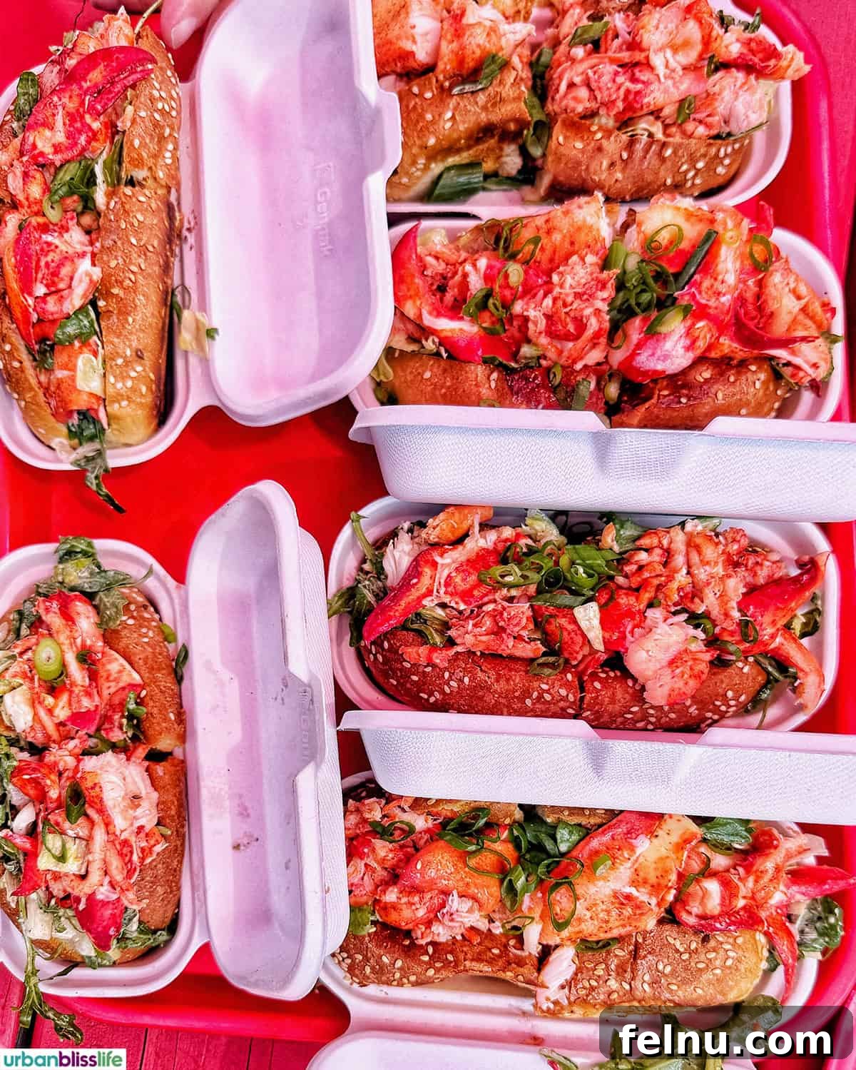 A Taste of Quebec: Culinary Hotspots in the City 12 An enticing display of lobster rolls at Chez Mag in Quebec, promising a delicious and satisfying treat.
