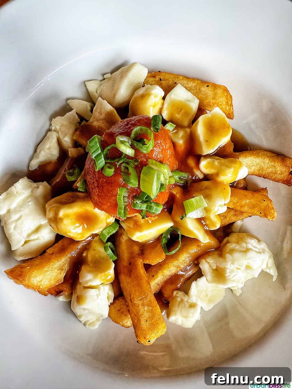 A Taste of Quebec: Culinary Hotspots in the City 16 A plate of poutine at La Souche in Quebec City, highlighting the brewery's commitment to local and comforting cuisine.