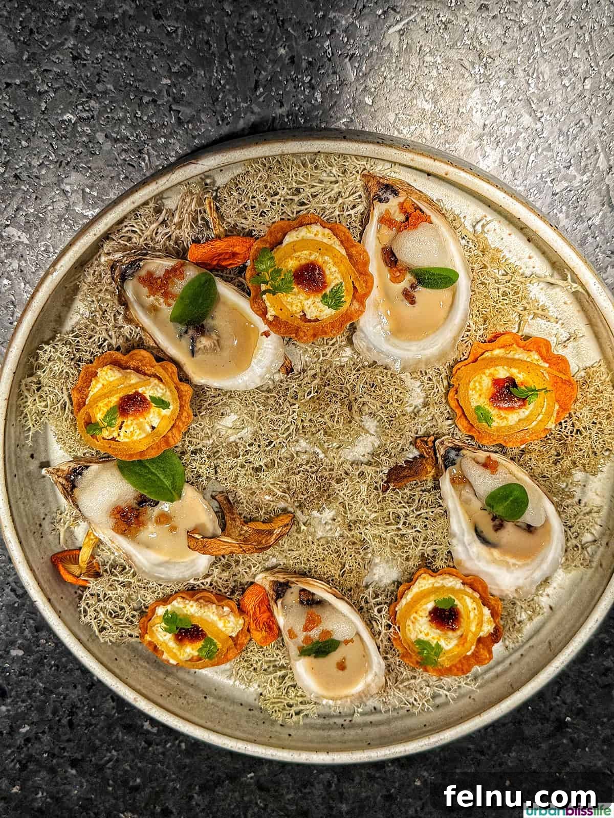 A Taste of Quebec: Culinary Hotspots in the City 18 A beautifully plated oyster dish at Taniere 3 in Quebec City, showcasing the restaurant's commitment to fresh and local ingredients.