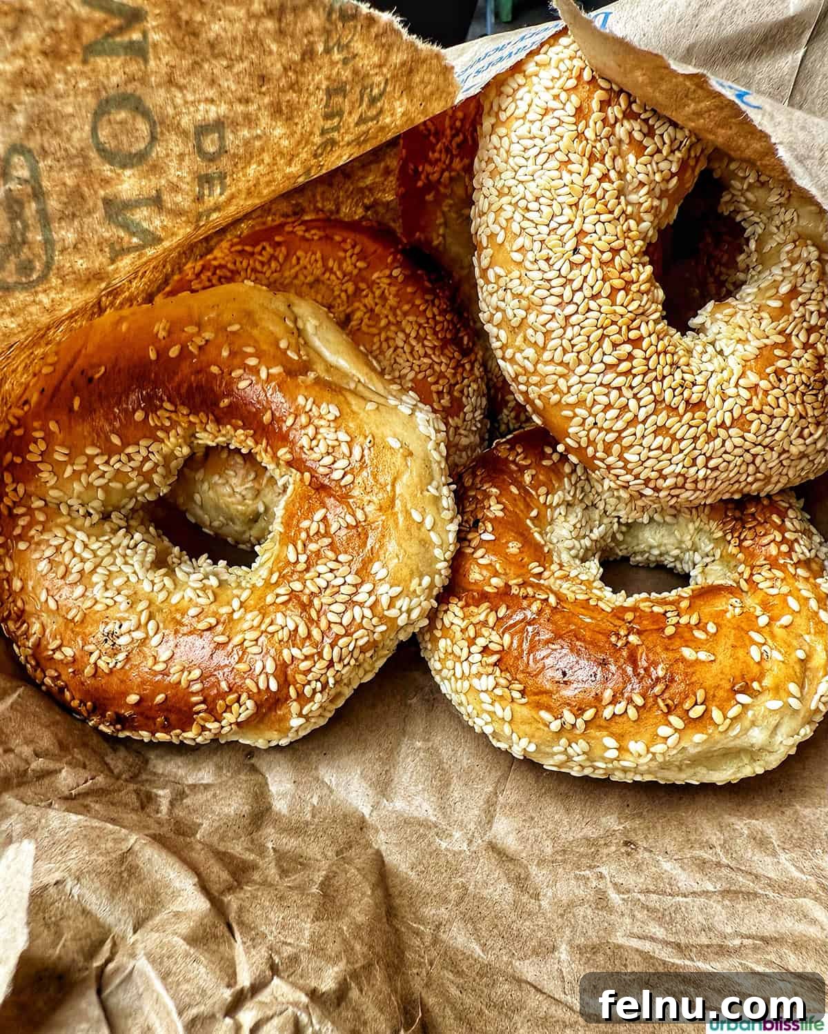 Montreal's Culinary Hotspots 3 A tempting close-up of freshly baked St Viateur bagels, generously coated in sesame seeds.