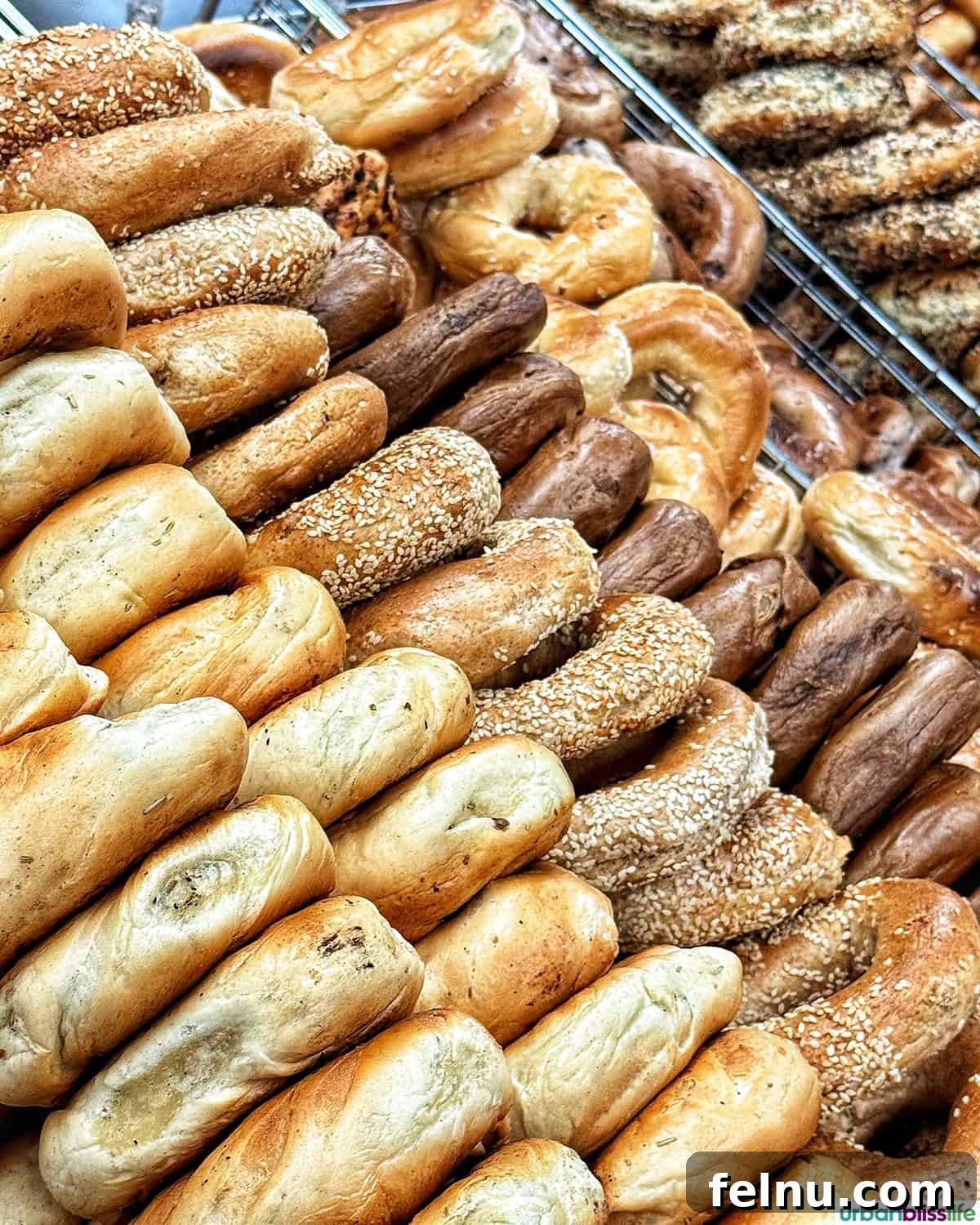 Montreal's Culinary Hotspots 5 Stacks of freshly baked, golden-brown St Viateur bagels, ready to be enjoyed.