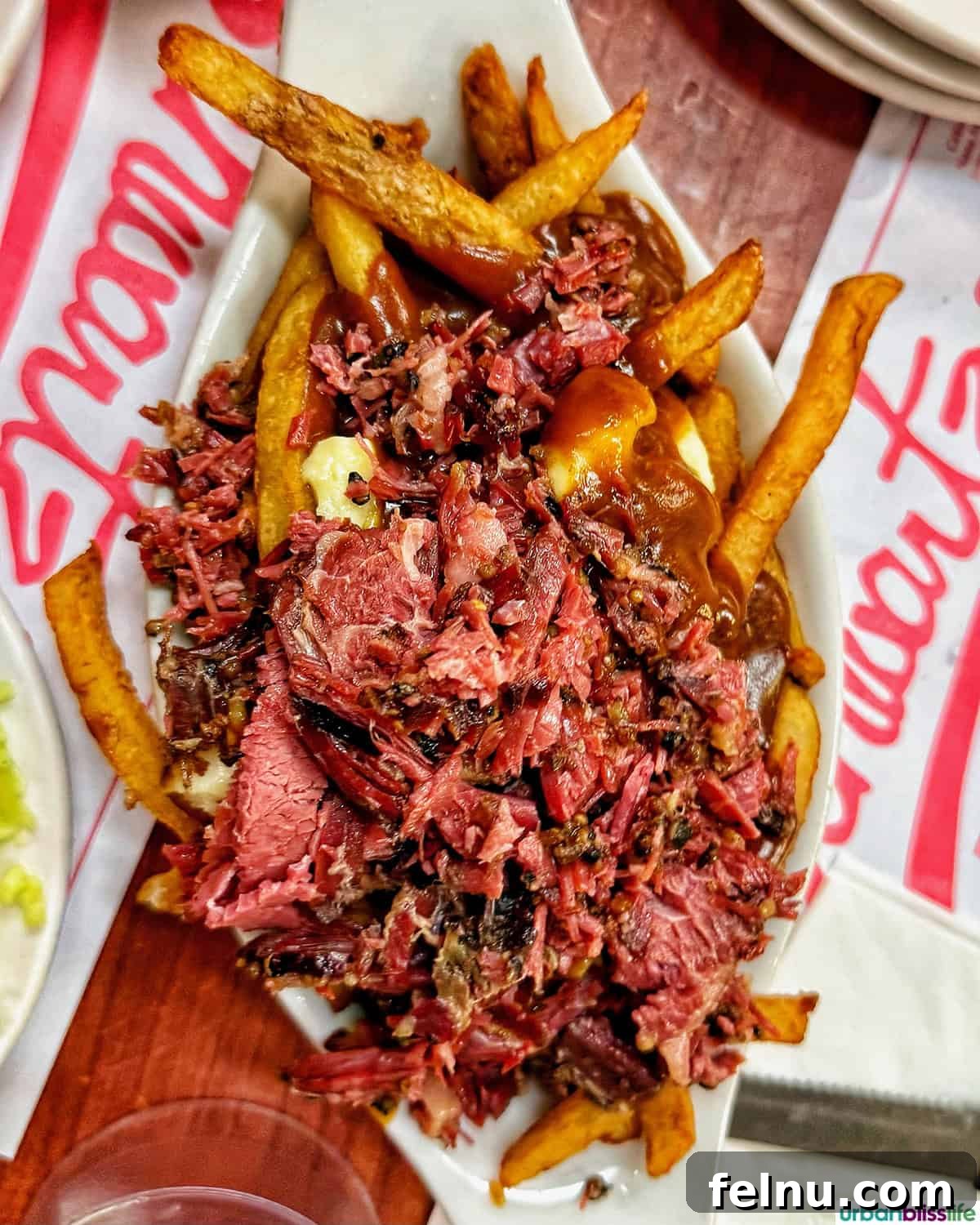 Montreal's Culinary Hotspots 8 A generous serving of poutine at Schwartz's deli, a comforting and satisfying side dish.