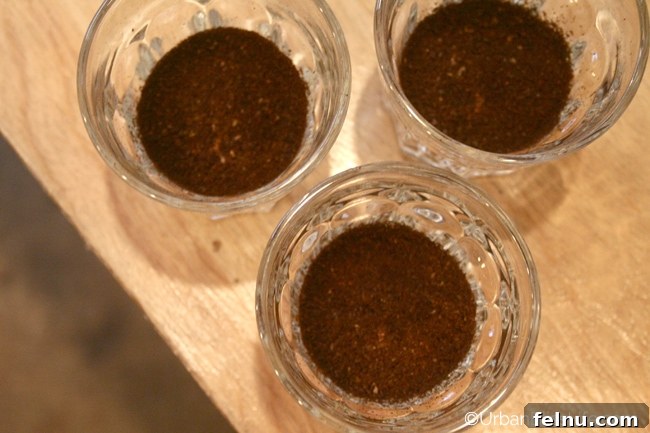 Third Wave Coffee Tour - Nossa Familia 01