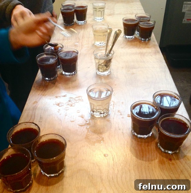 Third Wave Coffee Tour - Nossa Familia 3