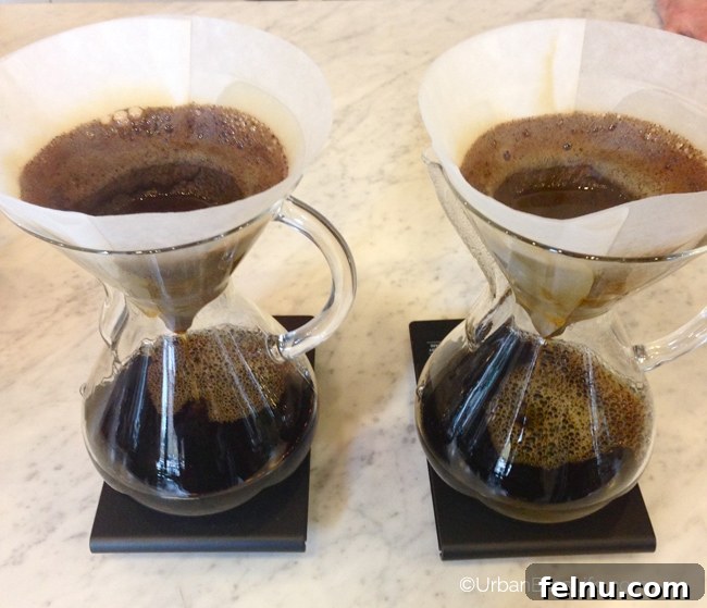 Third Wave Coffee Tour - Christopher David Pour Over