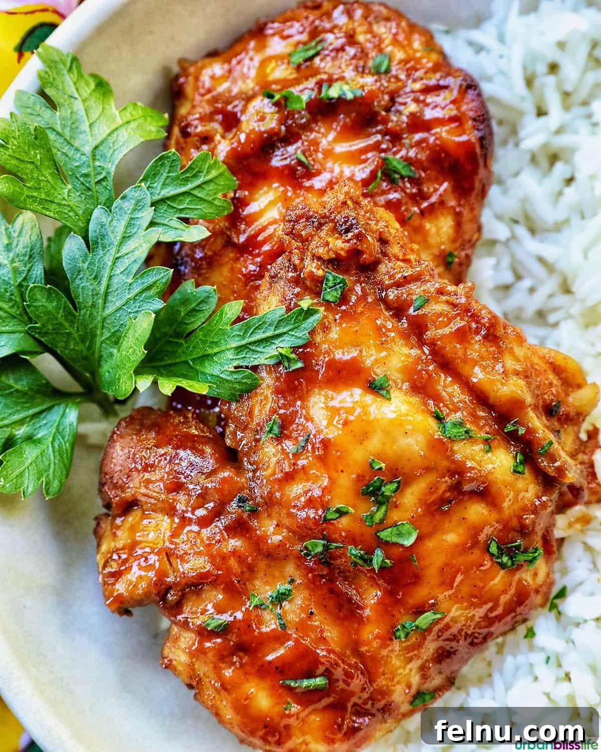 Slow Cooker BBQ Chicken Thighs
Tender & Tangy BBQ Chicken Thighs: Slow Cooker Perfection 2 Slow cooker barbecue chicken thighs served with rice
