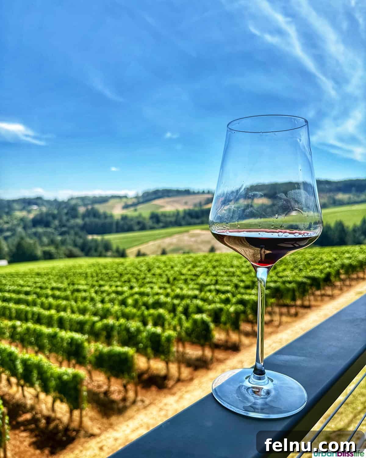 LucidWild Properties 2 Red wine overlooking LucidWild vineyard