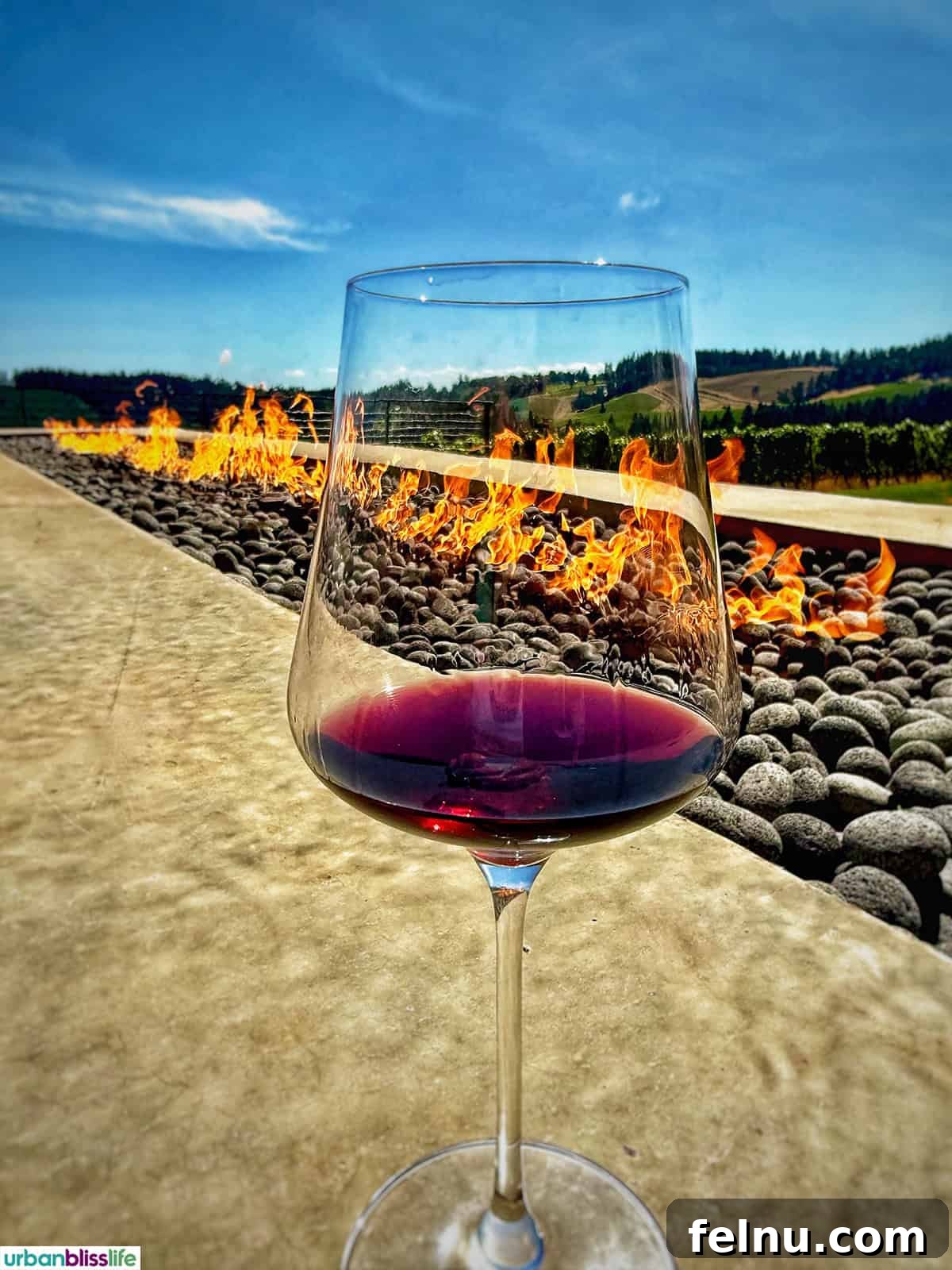LucidWild Properties 13 Glass of red wine with fire pit
