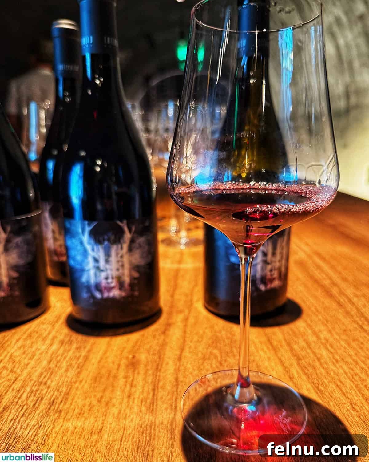 LucidWild Properties 16 Bottle and glass of LucidWild Beast pinot noir