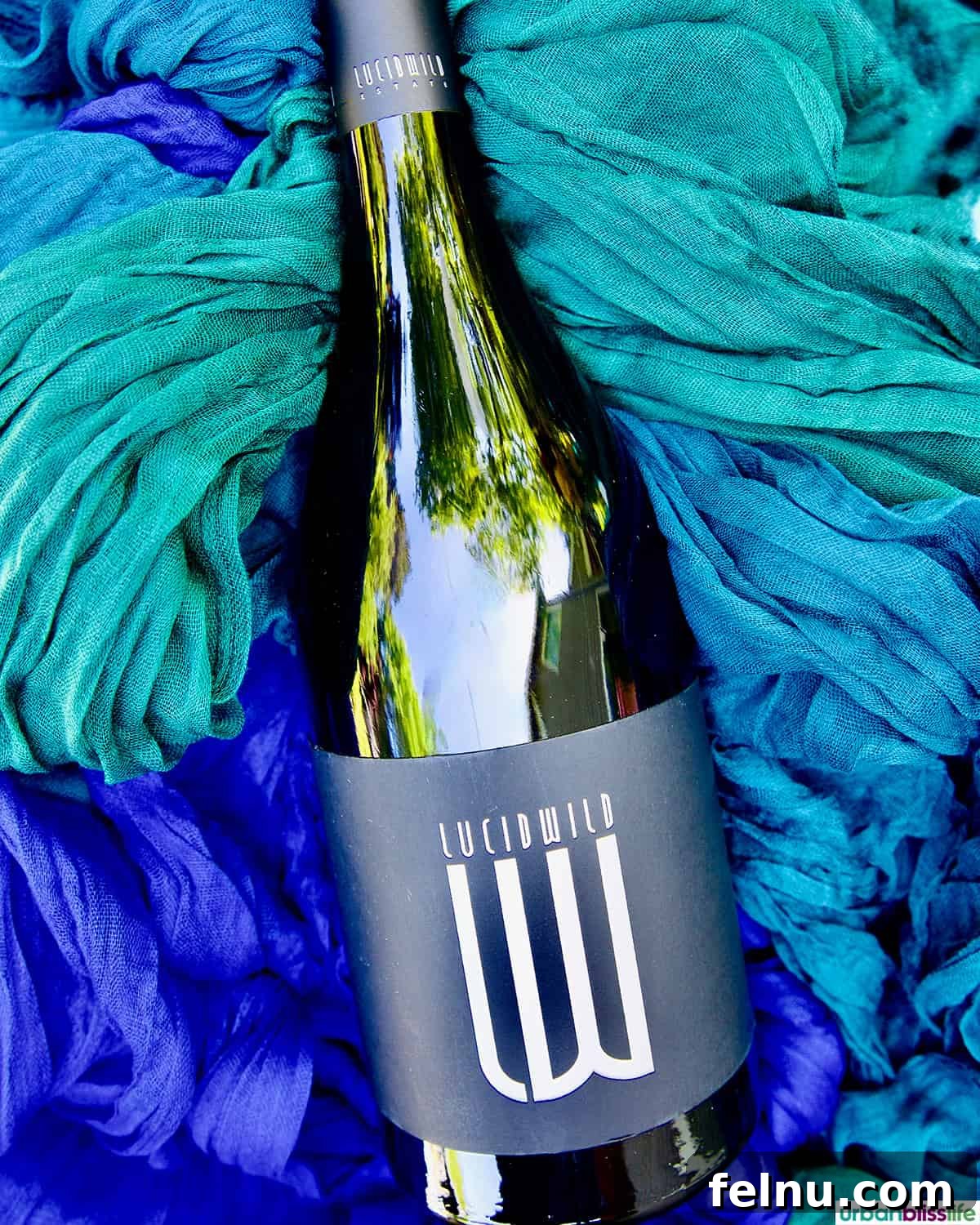 LucidWild Properties 17 Bottle of LucidWild Chosen pinot noir