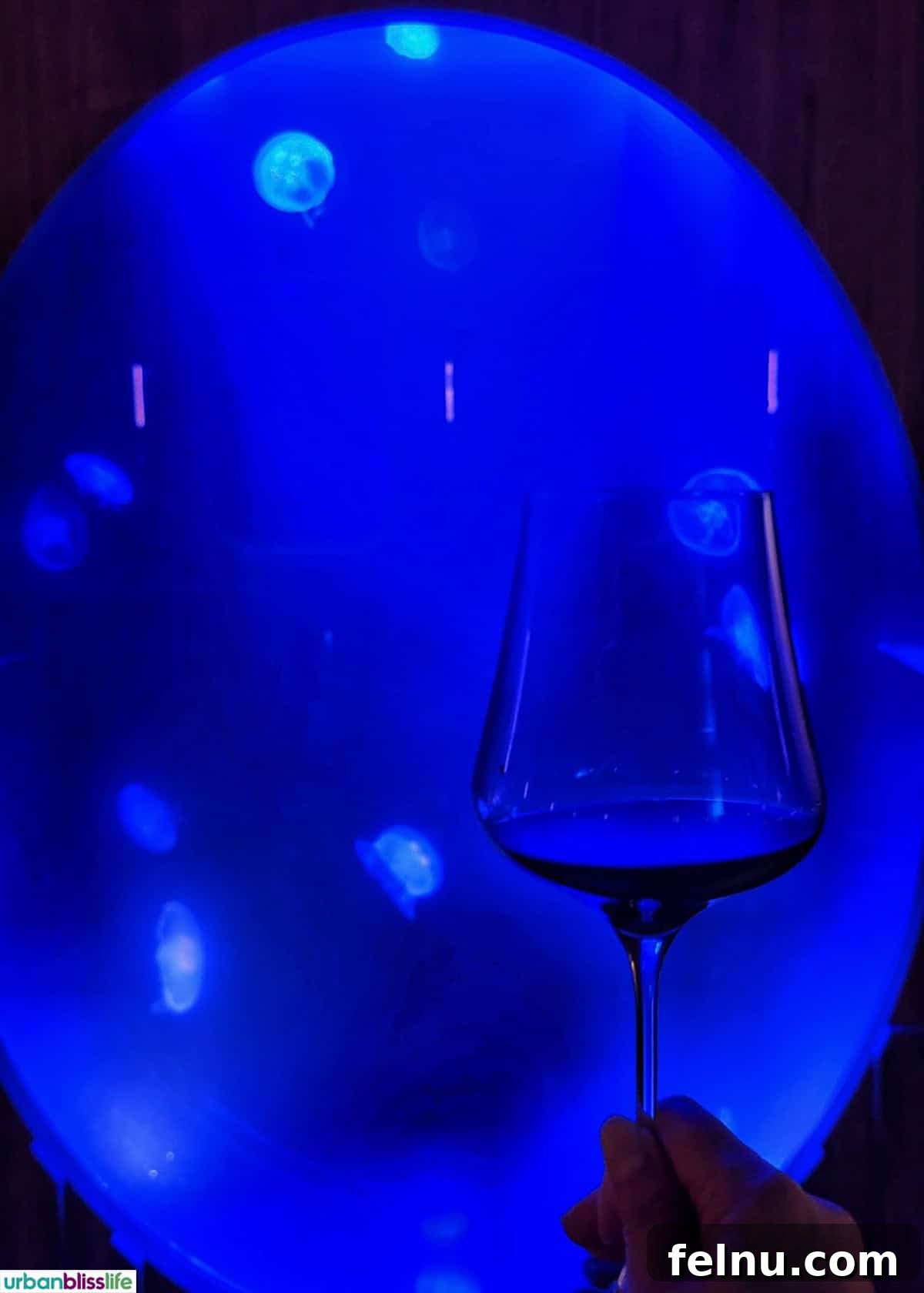 Jellyfish at LucidWild winery