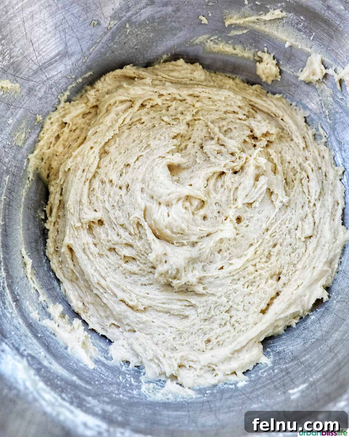 Cookies and Cream Protein Delight 10 Cookie batter mixed together