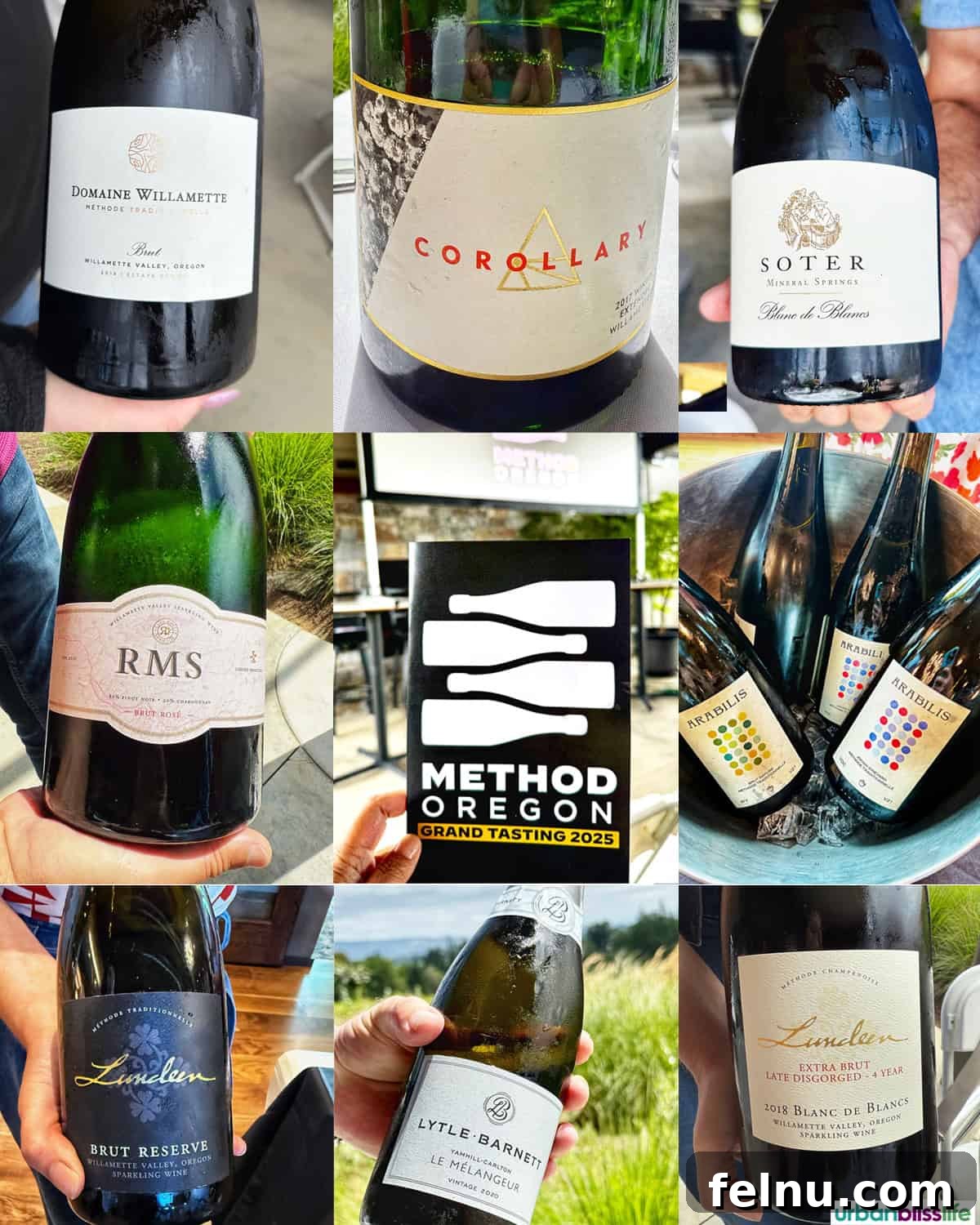 Oregon Bubbly: A Sparkling Celebration of the Oregon Method 2 Method Oregon: A Collage of Exquisite Sparkling Wine Bottles