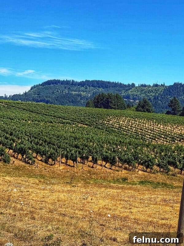 Ridgecrest Winery