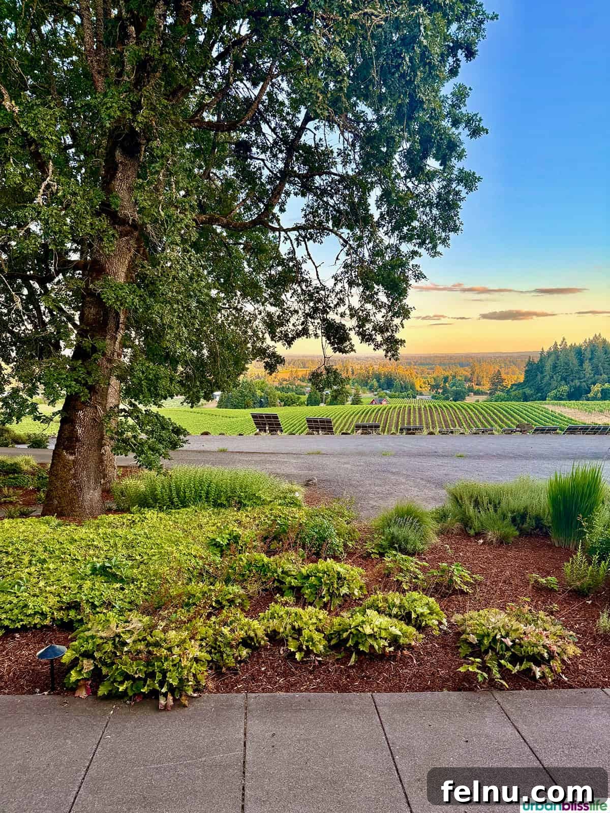 Oregon Bubbly: A Sparkling Celebration of the Oregon Method 8 Vineyards at Sokol Blosser Winery