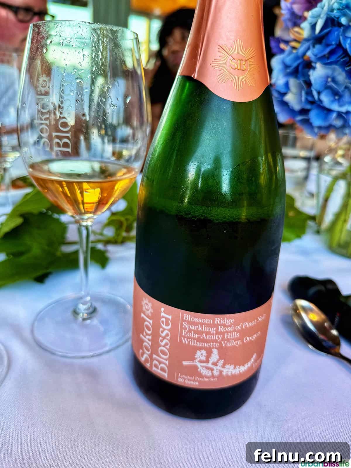 Oregon Bubbly: A Sparkling Celebration of the Oregon Method 9 Sokol Blosser Sparkling Wine Bottle