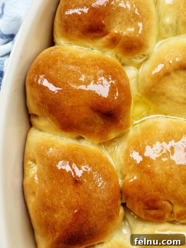 Honey Butter Rolls