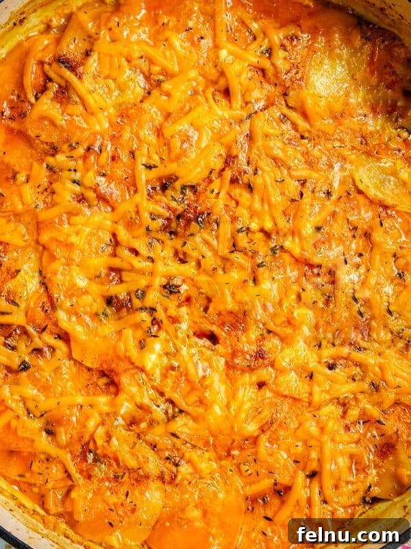 Sweet Potato Gratin