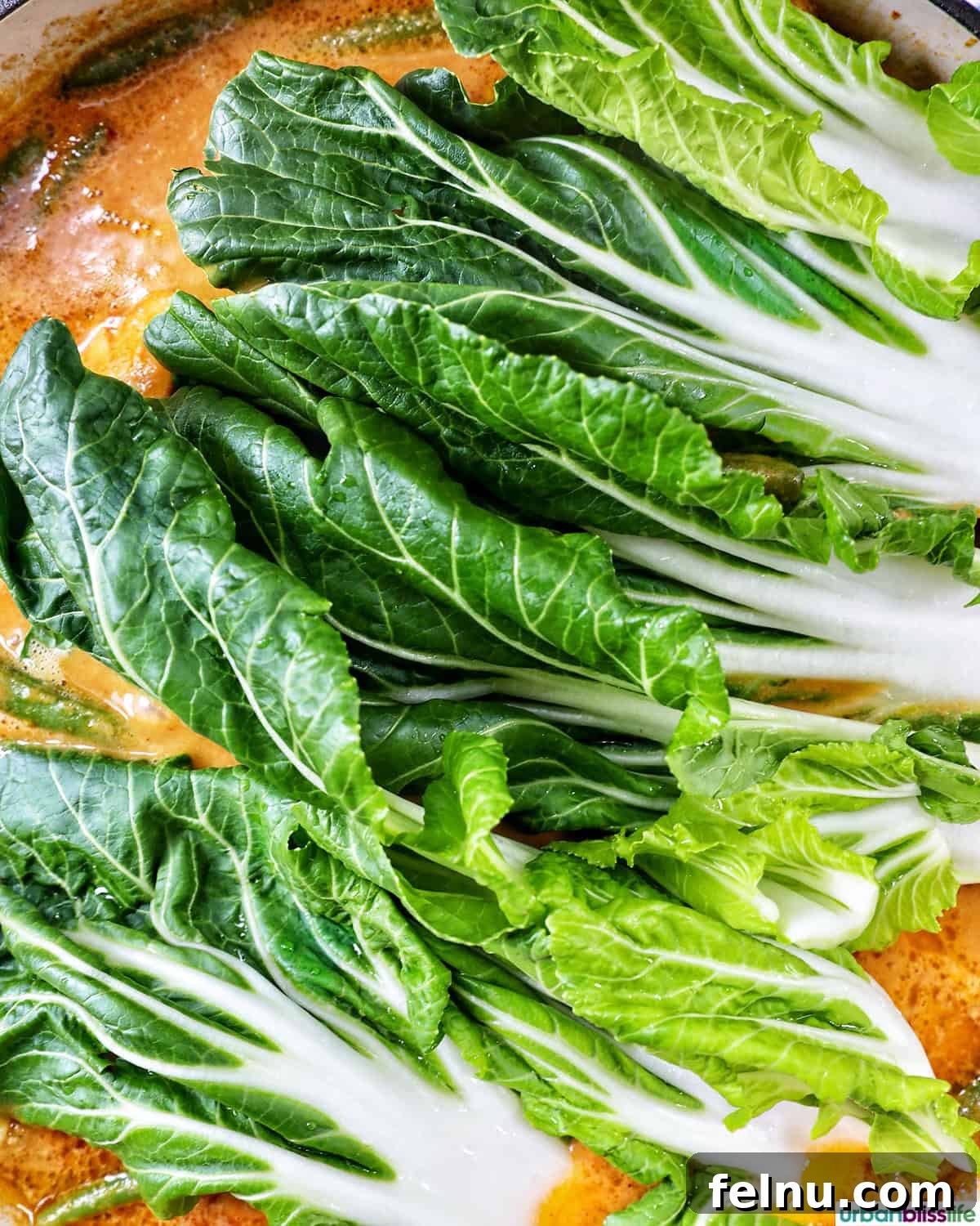 Rich Filipino Peanut Chicken 16 Fresh bok choy leaves being added to the simmering chicken kare kare.