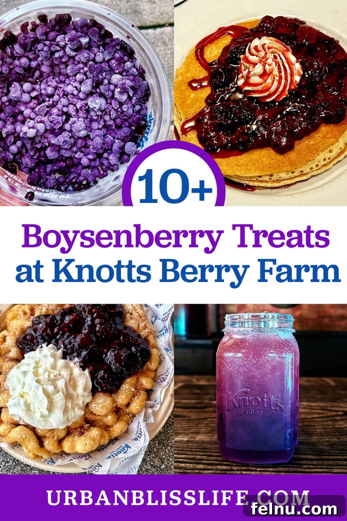 Boysenberry Bliss: A Food Lover's Journey Through Knott's Berry Farm 2 A delightful array of Boysenberry-themed foods at Knott's Berry Farm