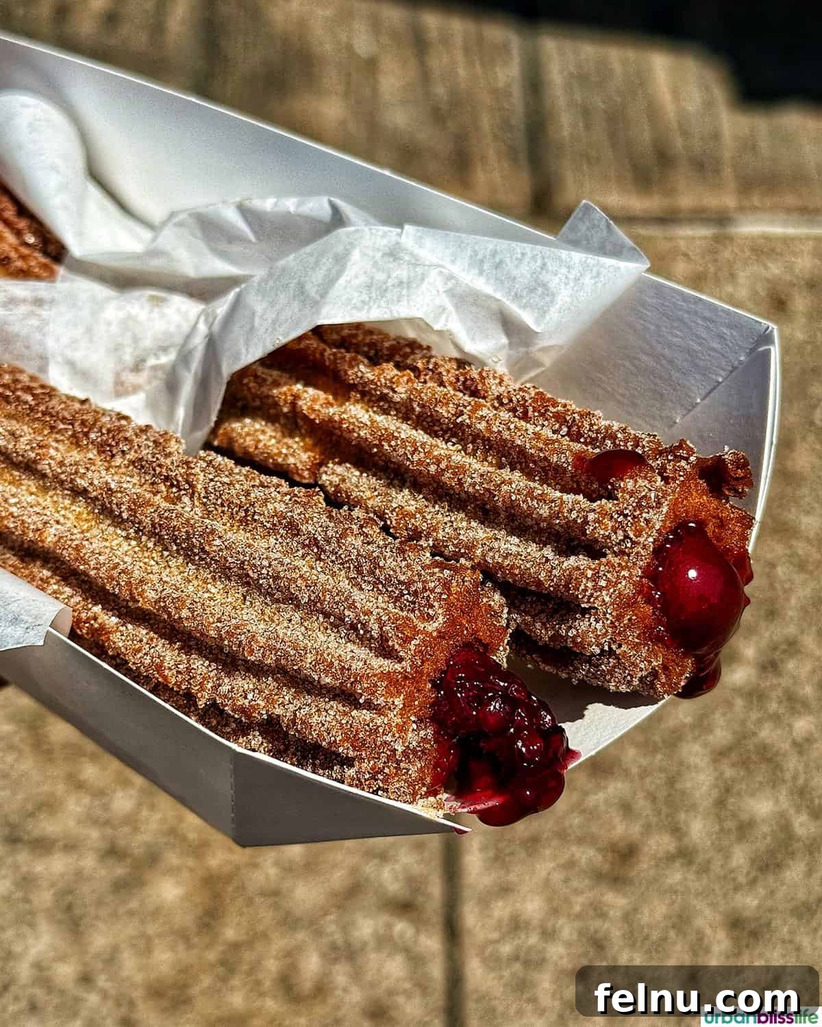 Boysenberry Bliss: A Food Lover's Journey Through Knott's Berry Farm 11 Delicious Boysenberry-stuffed churros