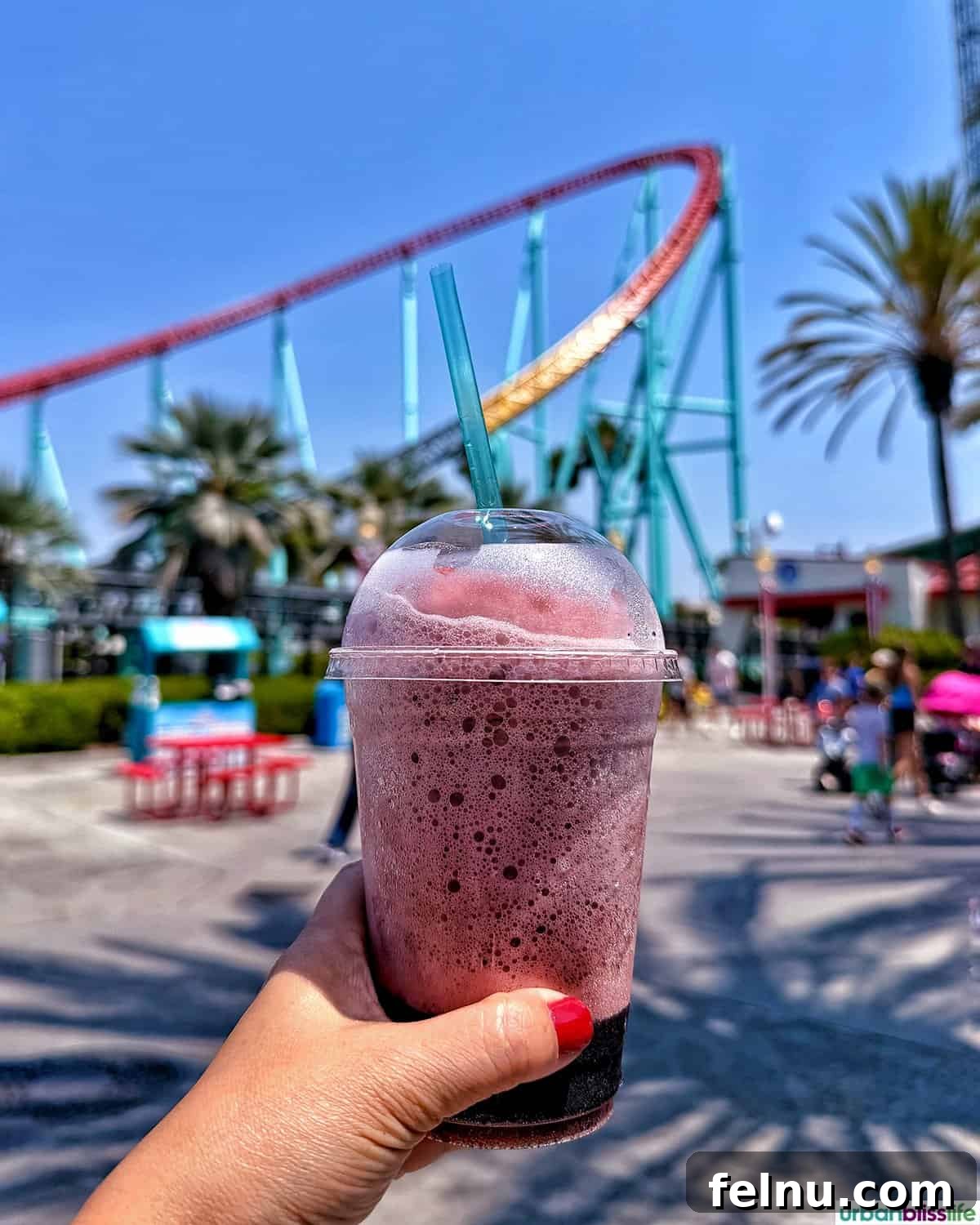 Boysenberry Bliss: A Food Lover's Journey Through Knott's Berry Farm 12 A refreshing Boysenberry ICEE