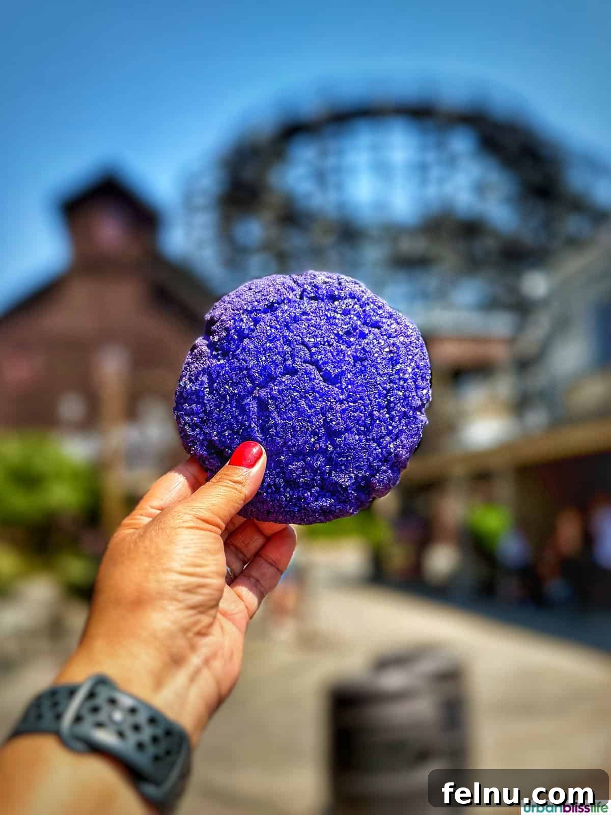 Boysenberry Bliss: A Food Lover's Journey Through Knott's Berry Farm 7 Holding up a brightly colored Boysenberry sugar cookie