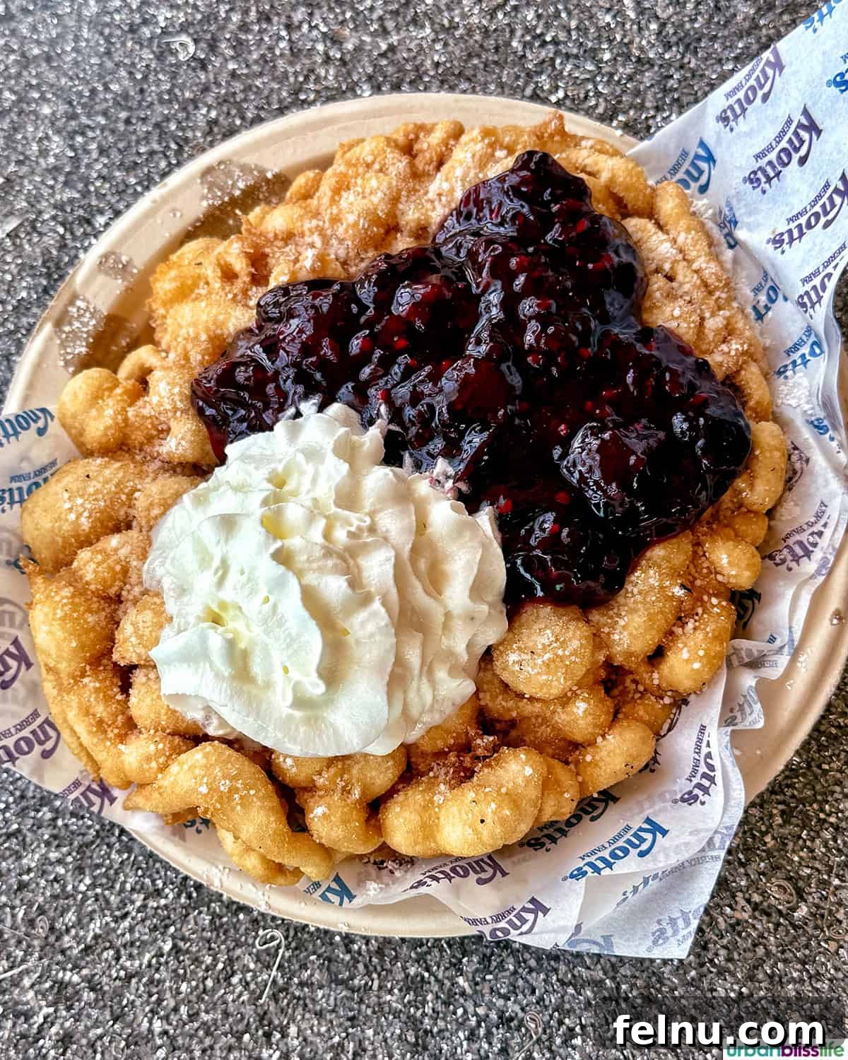 Boysenberry Bliss: A Food Lover's Journey Through Knott's Berry Farm 9 A classic funnel cake topped with Boysenberry goodness