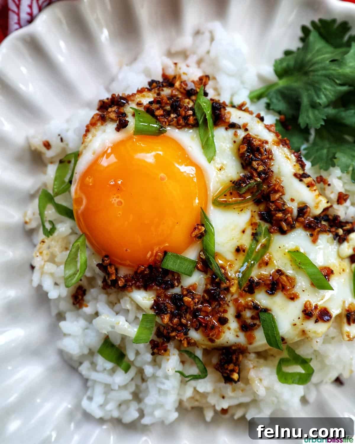 Golden Yolks, Fiery Crunch 2 Perfectly cooked chili crisp egg with a runny yolk on a white plate, ready to be enjoyed.