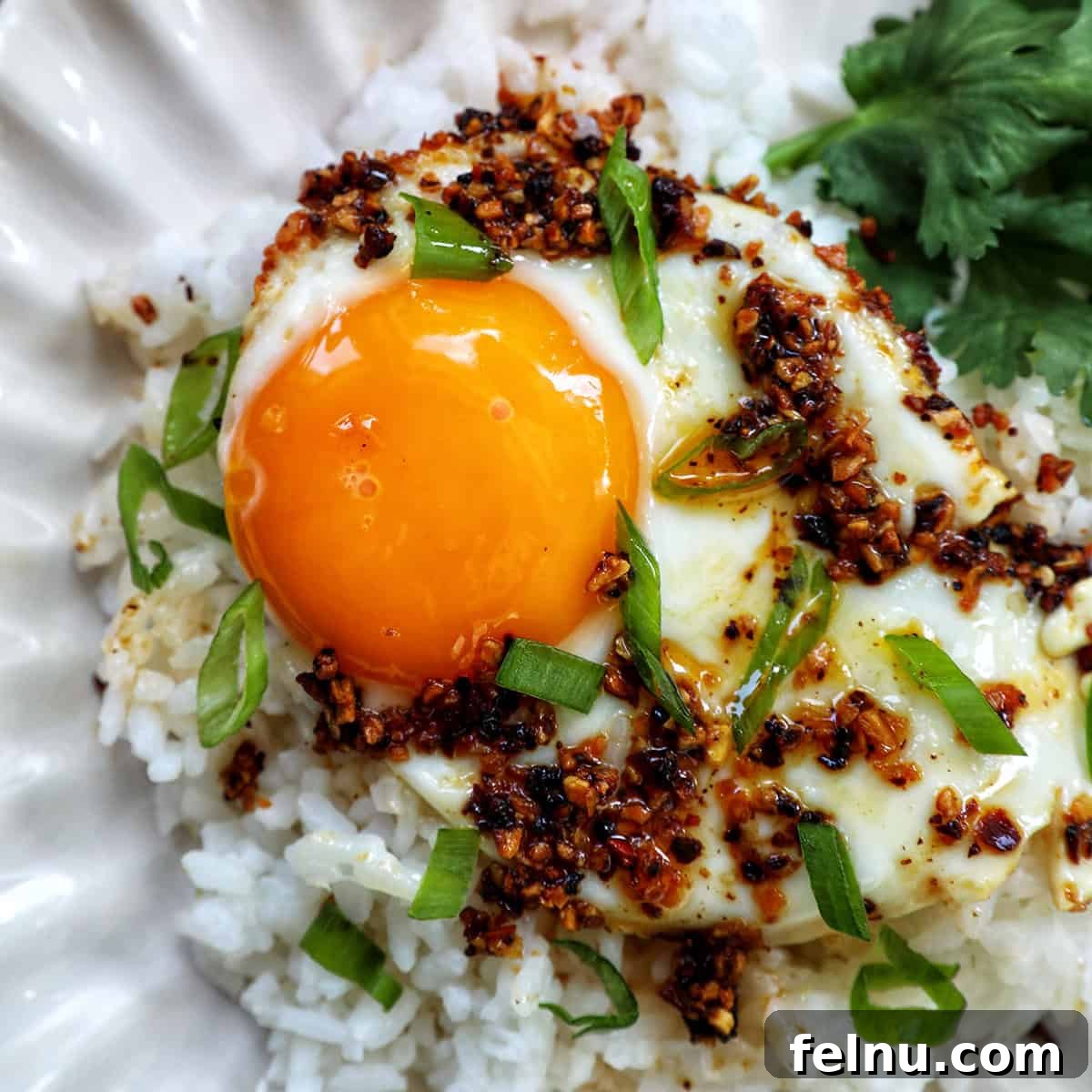 chili crisp egg on a plate, ready to eat.