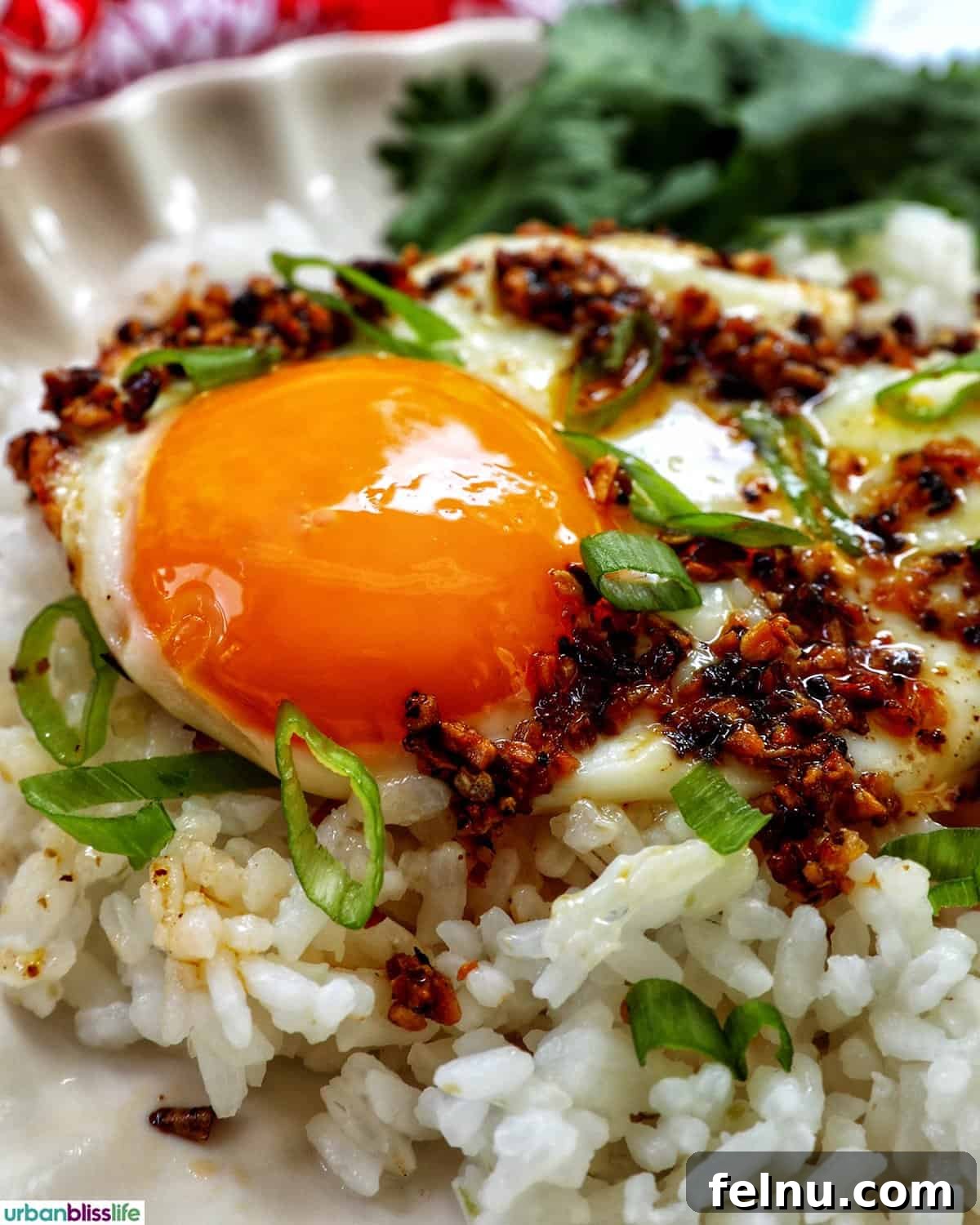 Golden Yolks, Fiery Crunch 3 Close-up of a perfectly fried chili crisp egg with a rich, vibrant yolk, showcasing the texture of the chili oil.