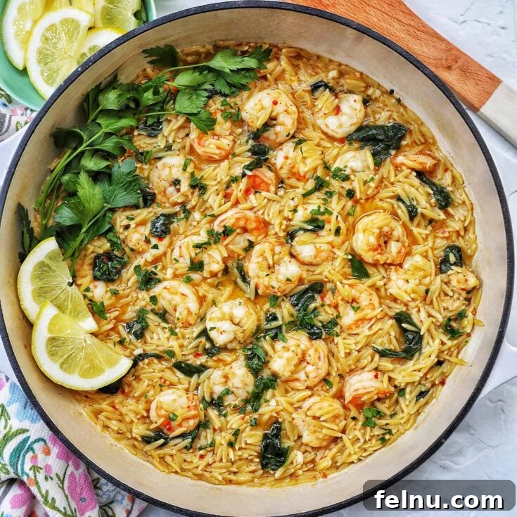 Light yet incredibly flavorful, this shrimp scampi recipe features plump shrimp, garlic, lemon, and white wine.