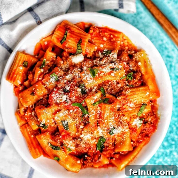 A comforting and robust pasta dish featuring hearty Italian sausage and rigatoni in a rich tomato-based sauce.