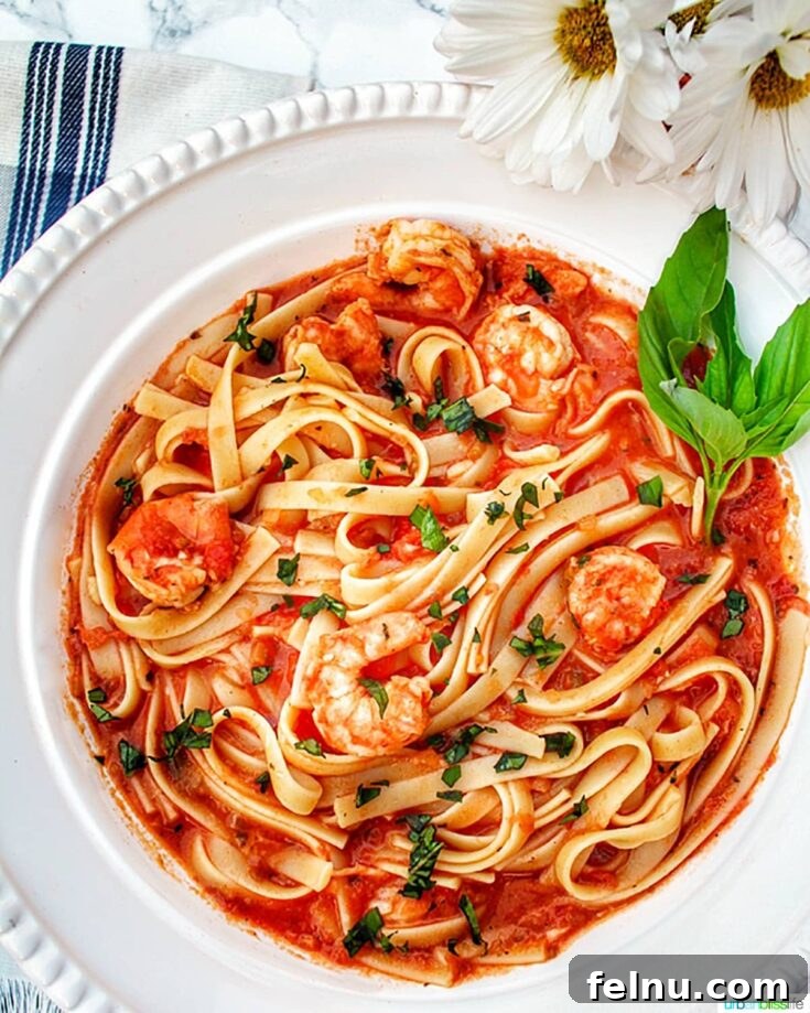 A sophisticated pasta featuring succulent shrimp and tender fettuccine in a smooth, vibrant vodka tomato cream sauce.