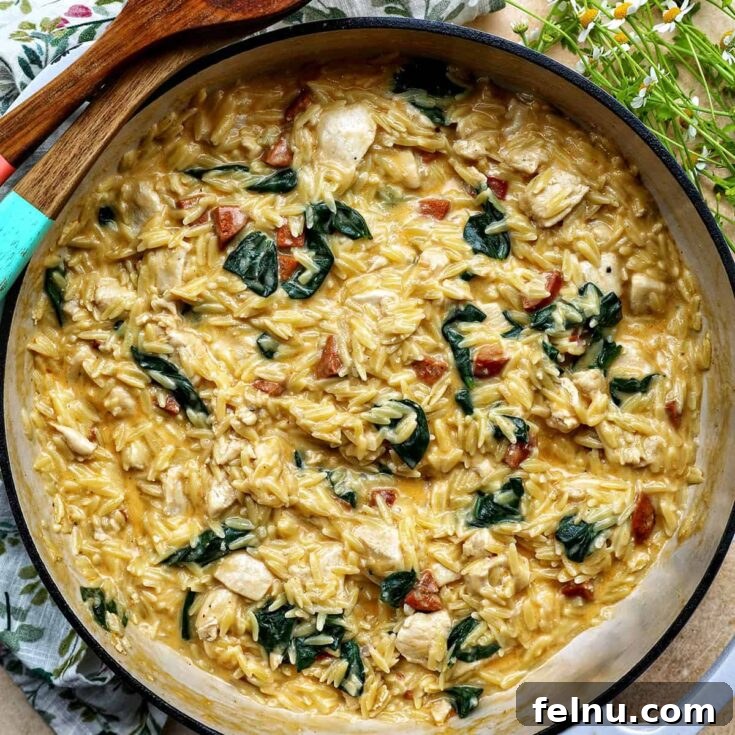 A vibrant and flavorful orzo dish combining tender chicken pieces with spicy chorizo.