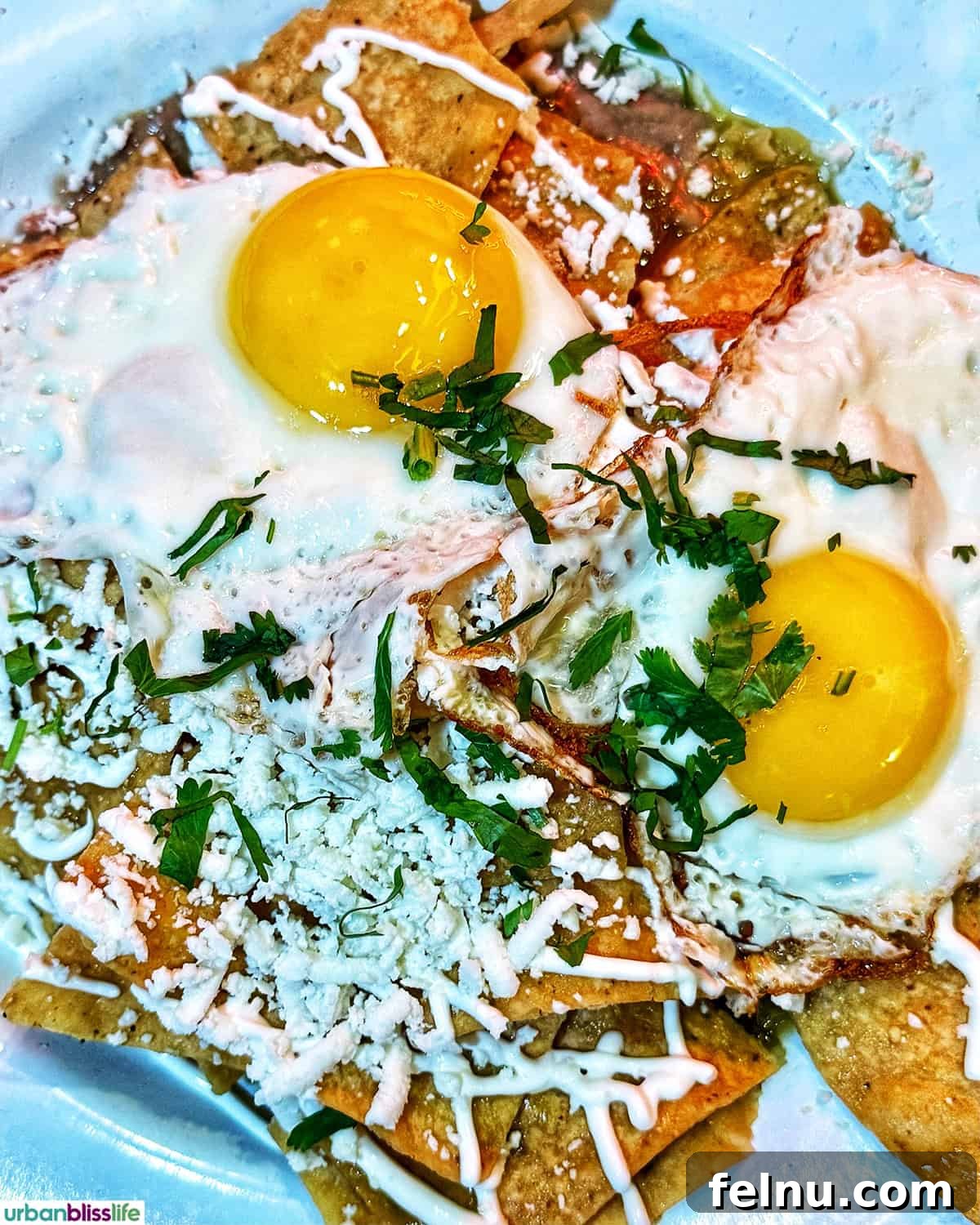 Downtown Santa Ana Eateries 17 A close-up shot of a plate of eggs at Cafe Cultura.