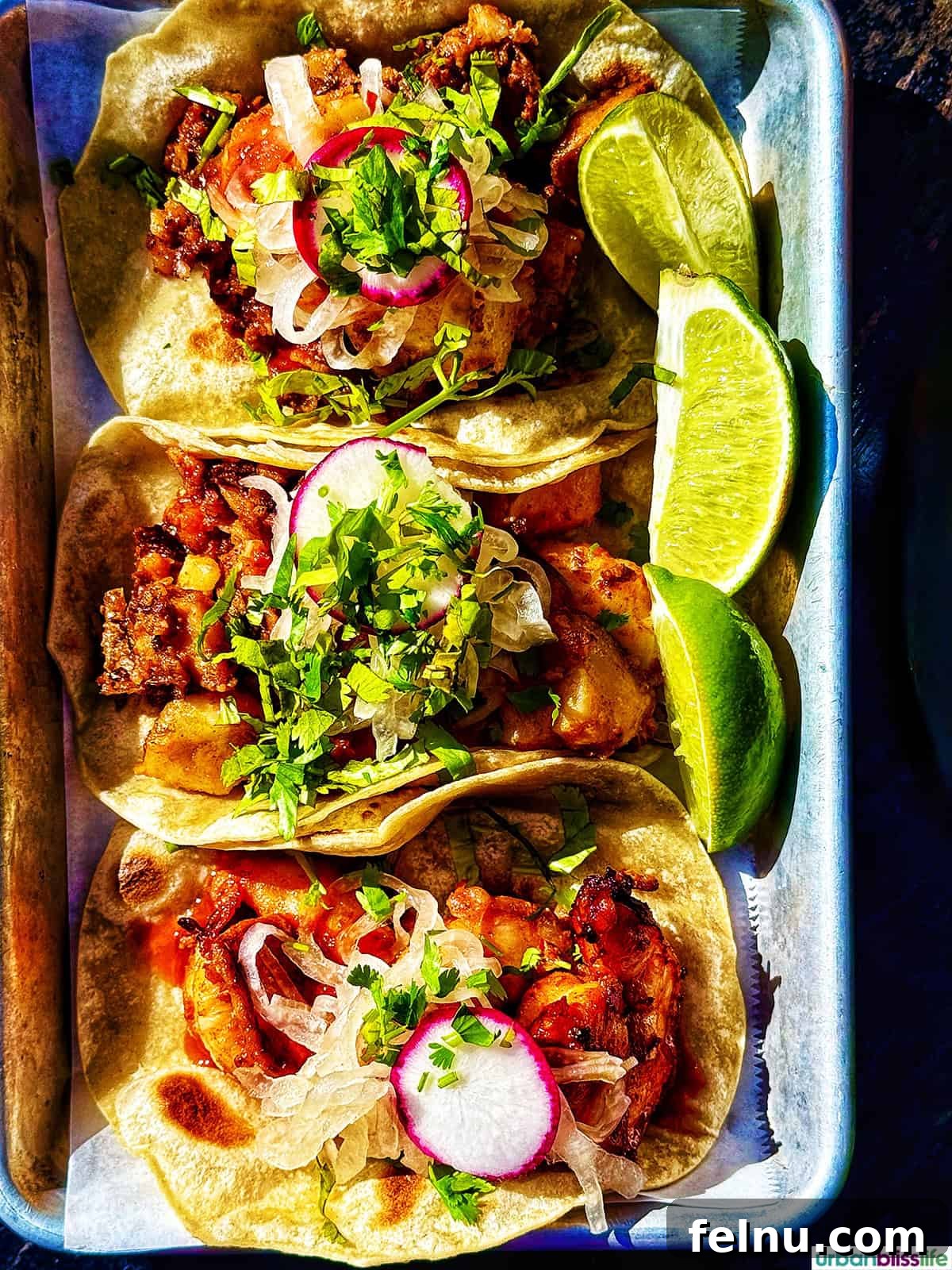 Downtown Santa Ana Eateries 29 Another plate of tempting tacos at Lola Gaspar.