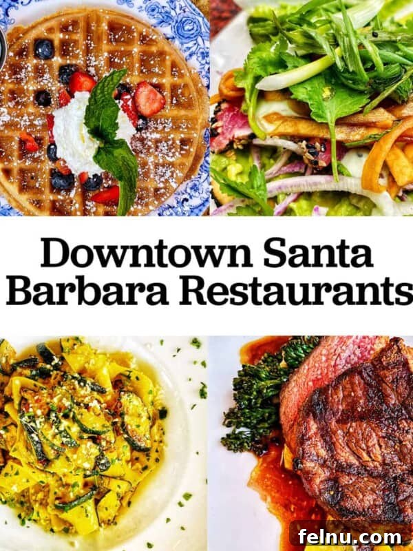 Downtown Santa Ana Eateries 31 waffles, tuna tostadas, zucchini pasta, and steak with title text overlay that reads "downtown Santa Barbara restaurants."