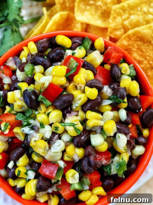 Black Bean Corn Dip