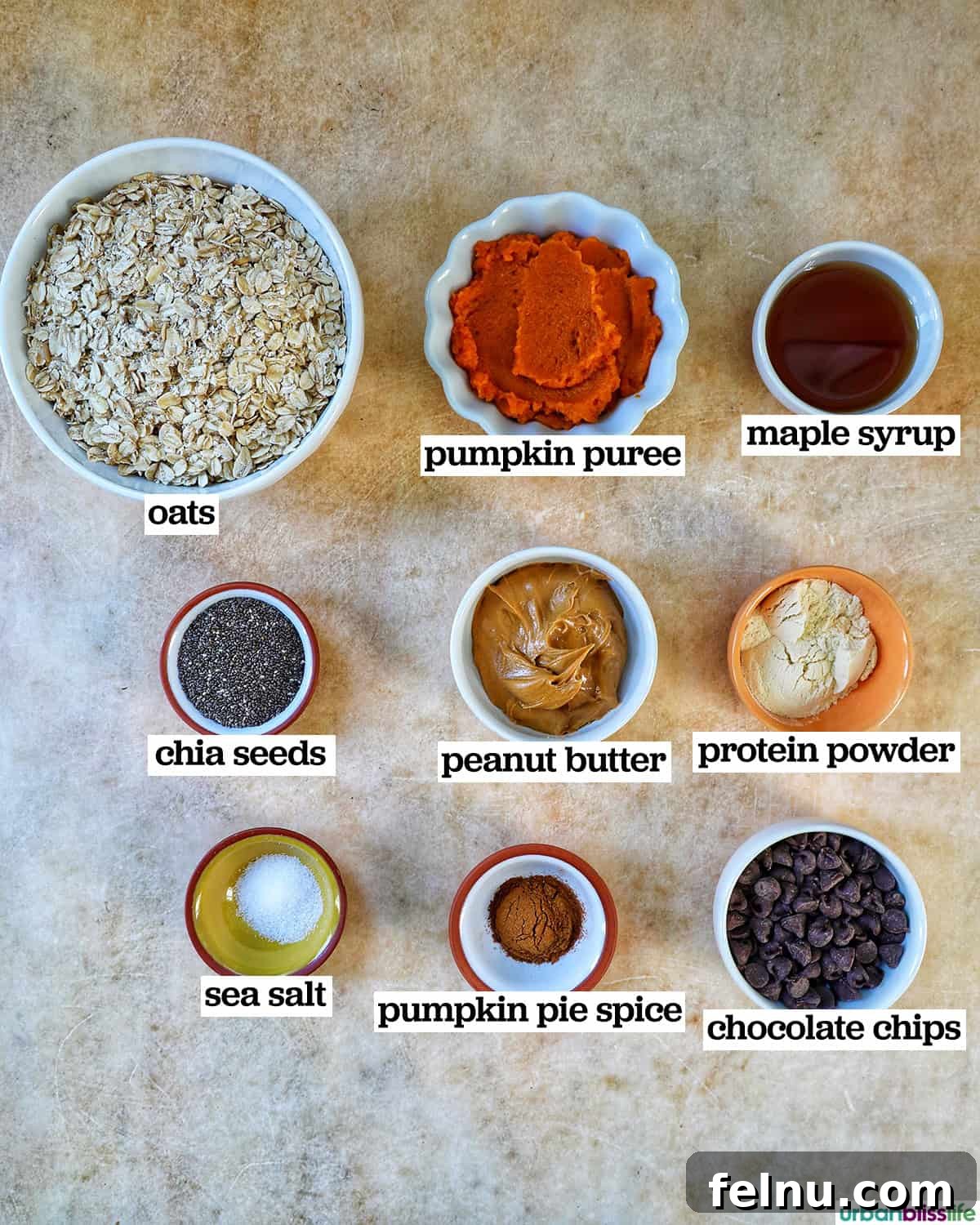 Ingredients for pumpkin protein balls