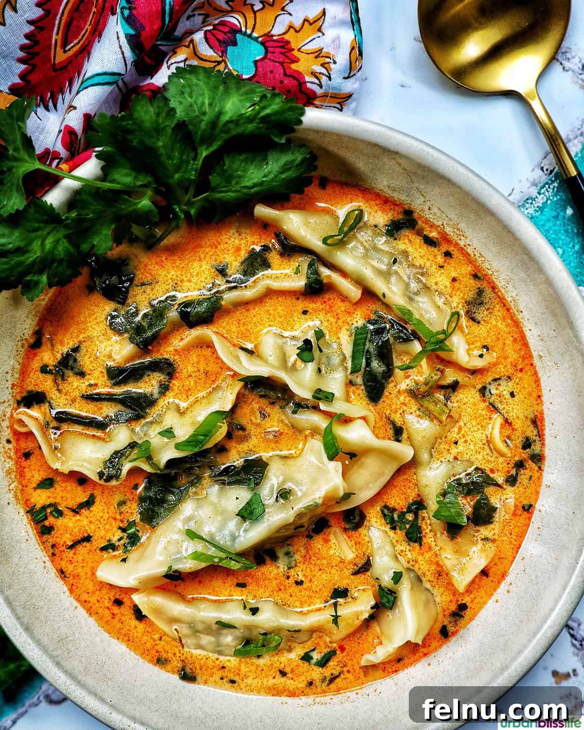 Aromatic Thai Red Curry Dumpling Soup 2 A top-down view of a bowl of comforting Thai Red Curry Dumpling Soup, garnished with fresh herbs.