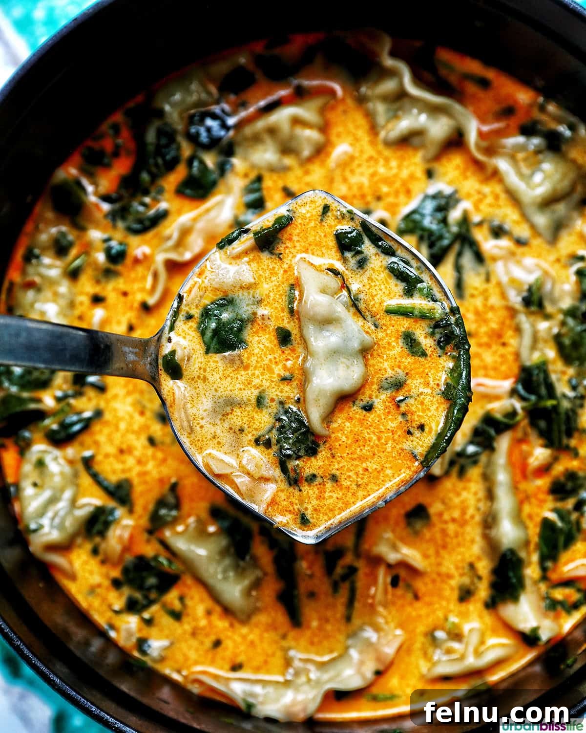 Aromatic Thai Red Curry Dumpling Soup 12 A ladle in a pot of Thai red curry dumpling soup, ready to be served.