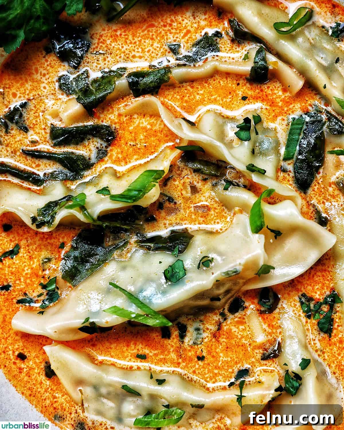 Aromatic Thai Red Curry Dumpling Soup 3 A close-up of Thai Red Curry Dumpling Soup, showing the rich broth and dumplings.