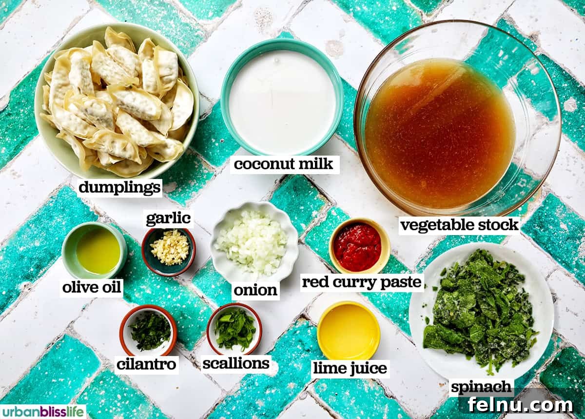 Aromatic Thai Red Curry Dumpling Soup 5 A selection of ingredients laid out for making Thai Red Curry Dumpling Soup.