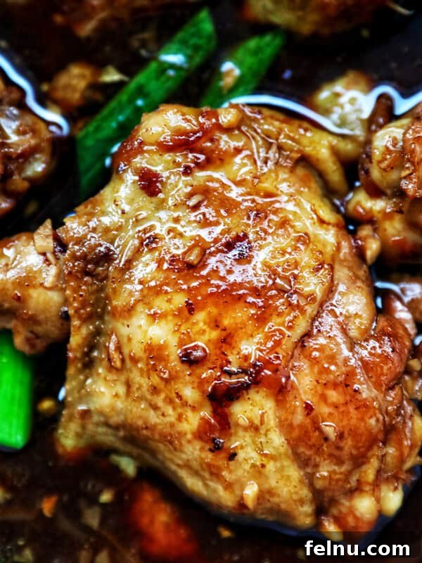 Chinese Braised Chicken